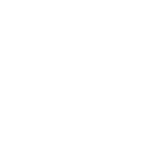 mm-ast-icon-2948